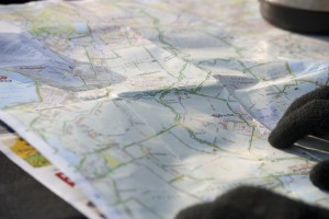 Predictability is a sort of road map.